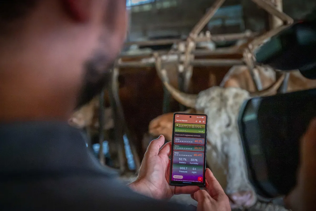 A farmer checking the mobile app in the barn
